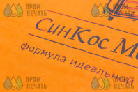 Оранжевые футболки с надписью «СинКосМебель»