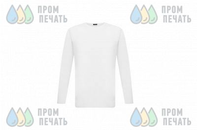 Пример работ №1. Белые лонгсливы